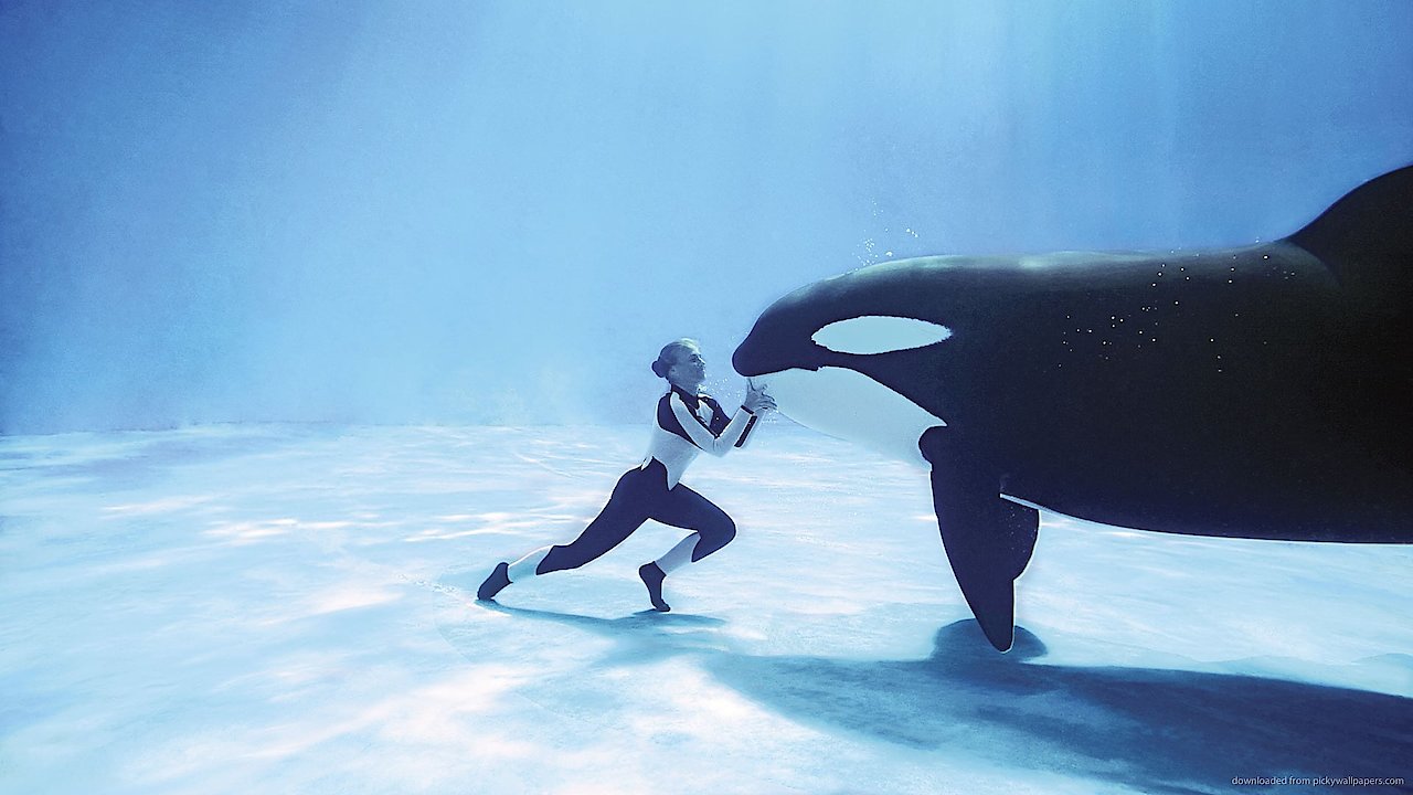 Blackfish