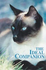 The Ideal Companion