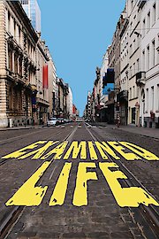 Examined Life
