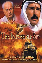 The Impossible Spy