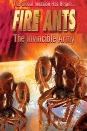 Fire Ants: The Invincible Army