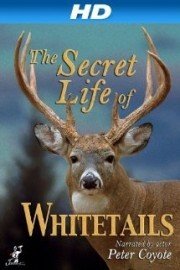 The Secret Life of Whitetails