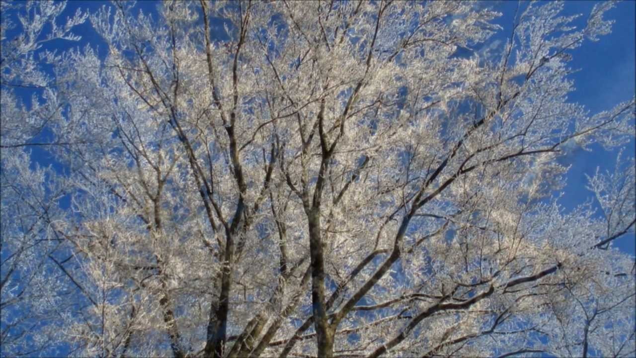 Relax With Nature Magic Winter