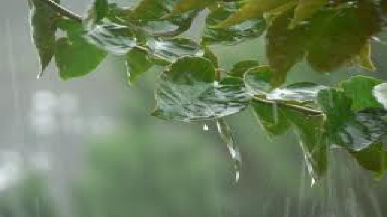 Restful Rain