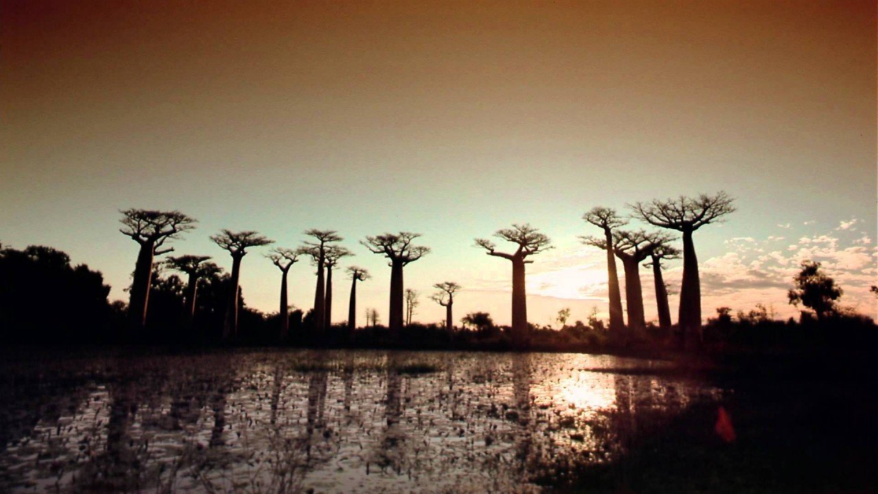 The Greatest Places: IMAX