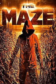 The Maze