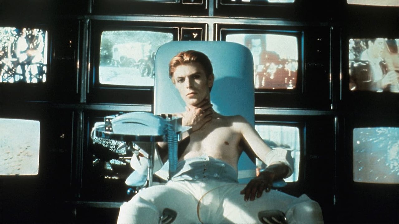 The Man Who Fell to Earth