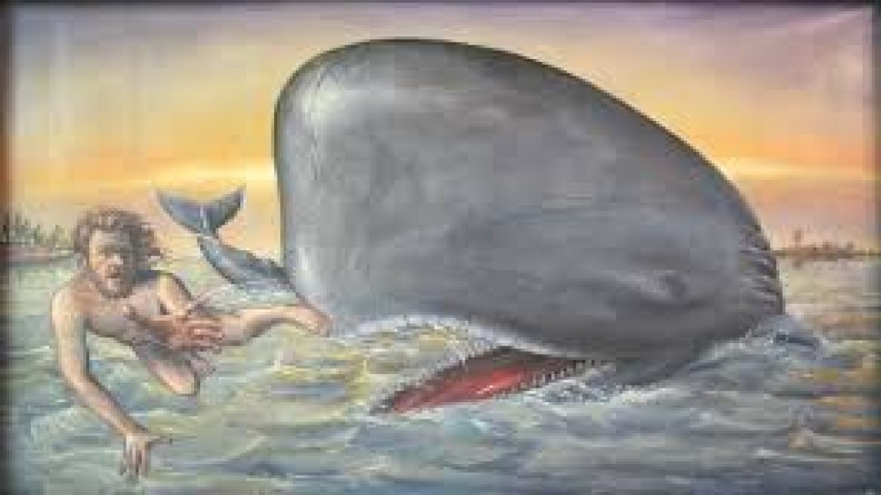 Jonah and the Whale, Told by Jason Robards