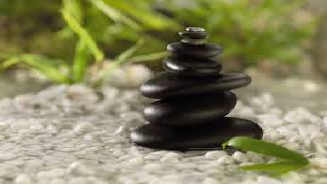 Feng Shui: Creating Environments for Success and Well-Being