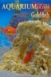 Aquarium for Your Home: Goldfish