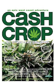 Cash Crop