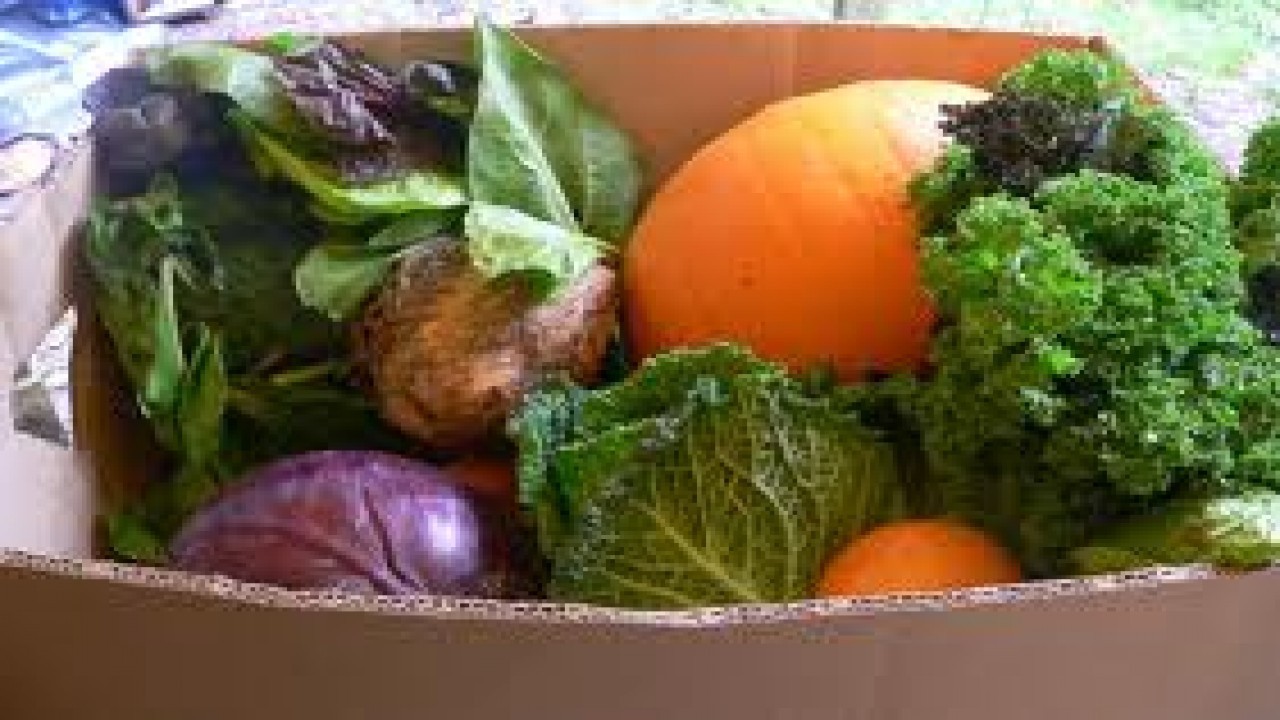 Earth Voice, Food Choice