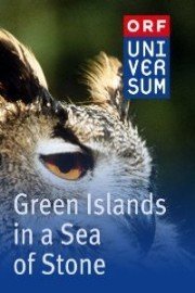 Green Islands in a Sea of Stone