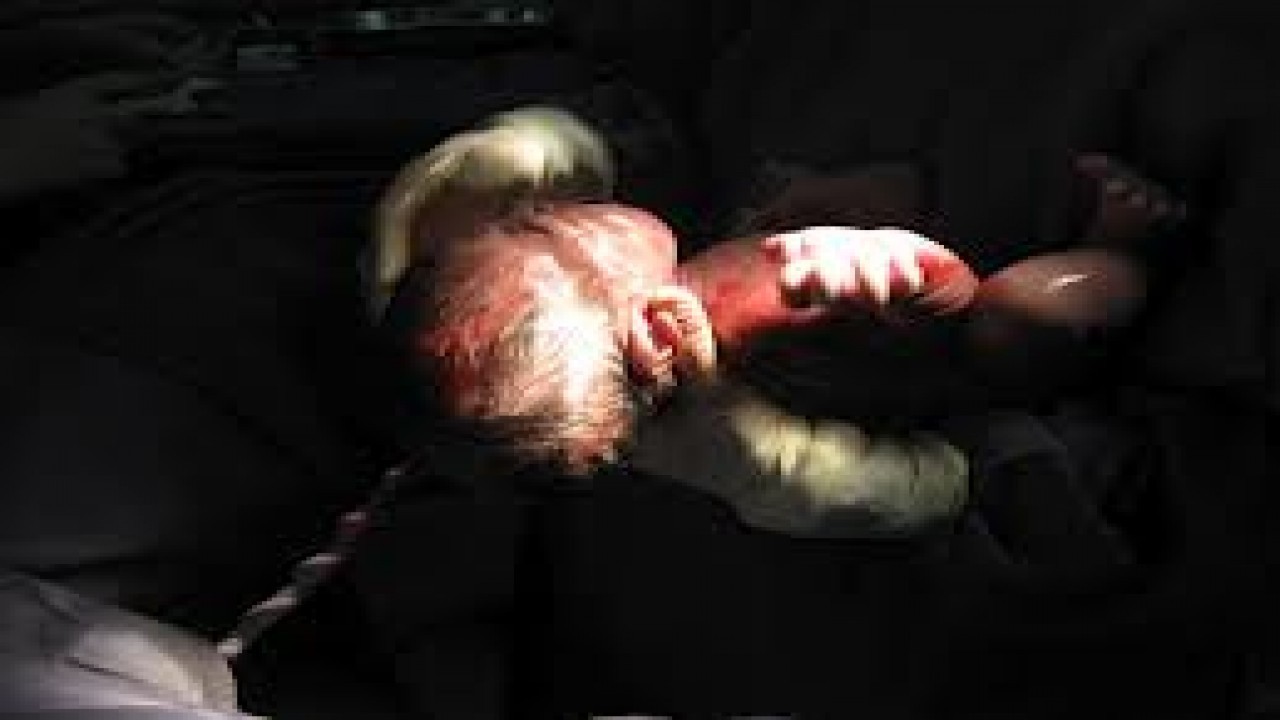 Wonders of God's Creations: Human Life