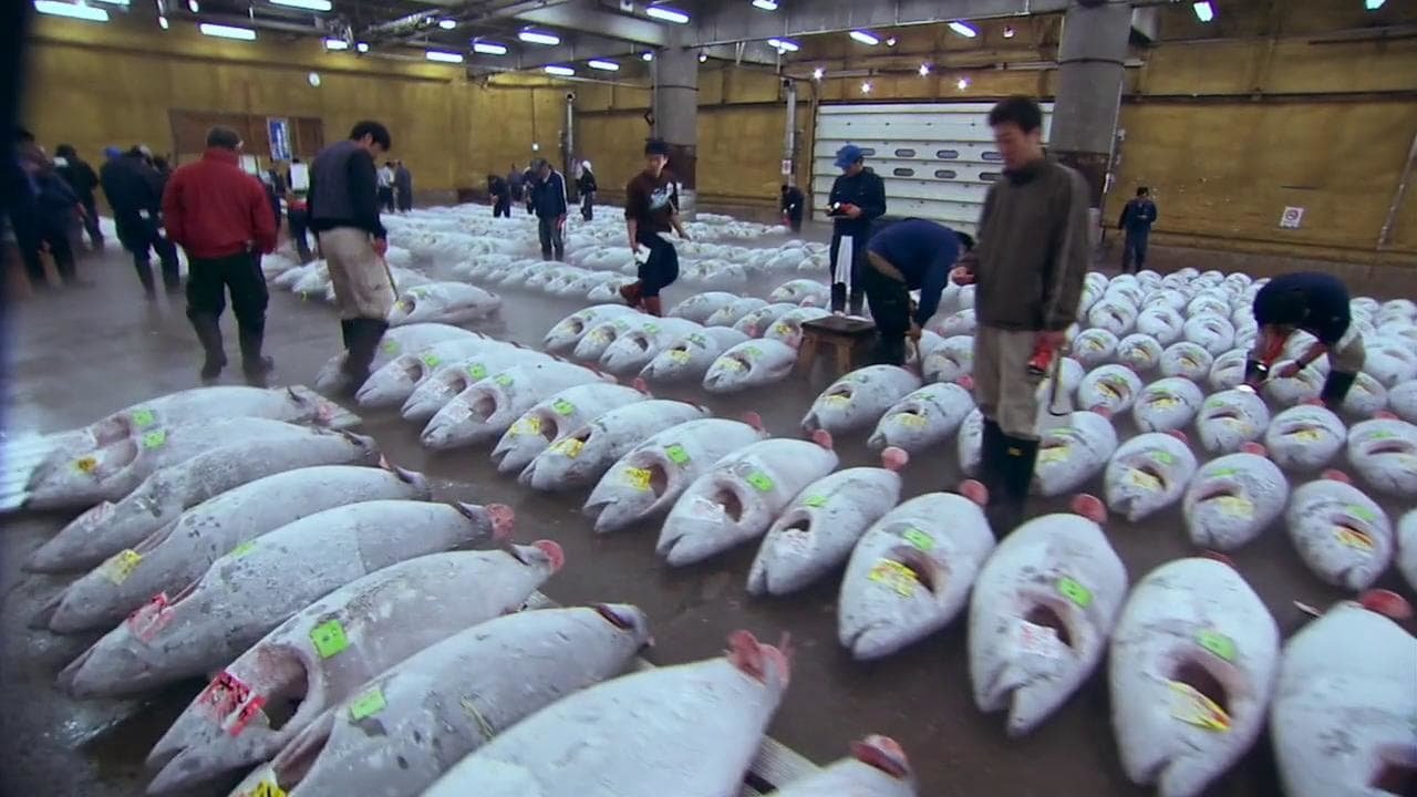 Sushi: The Global Catch