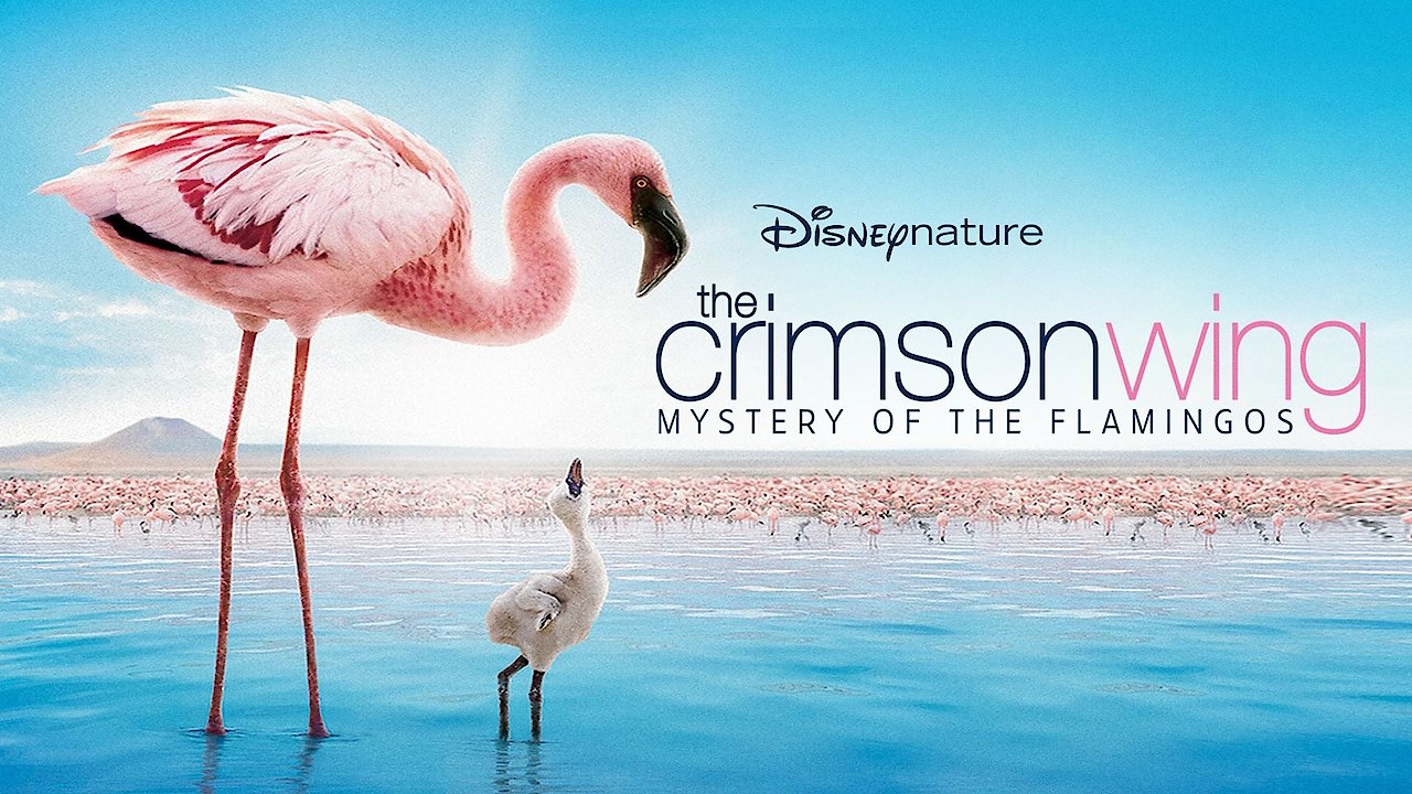 The Crimson Wing: Mystery of the Flamingos