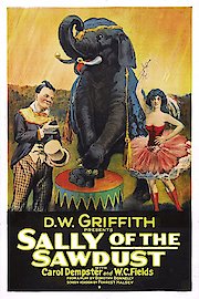 Sally of the Sawdust