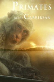 Primates of the Caribbean