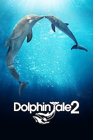 Dolphin Tale 2