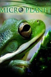 MicroPlanet
