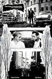 Three Poplars At Plyuschikha