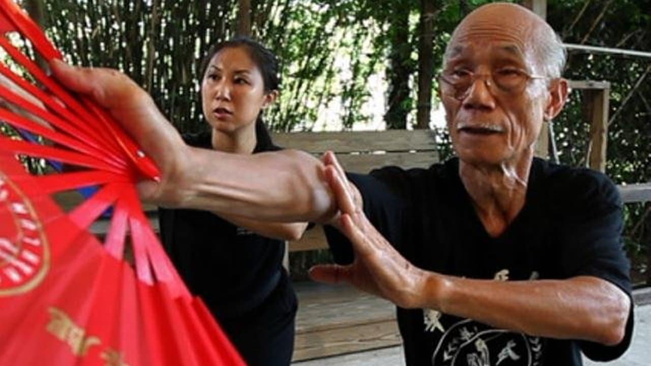 Pui Chan: Kung Fu Pioneer