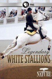 Nature: Legendary White Stallions