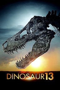 Dinosaur 13