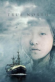 True North