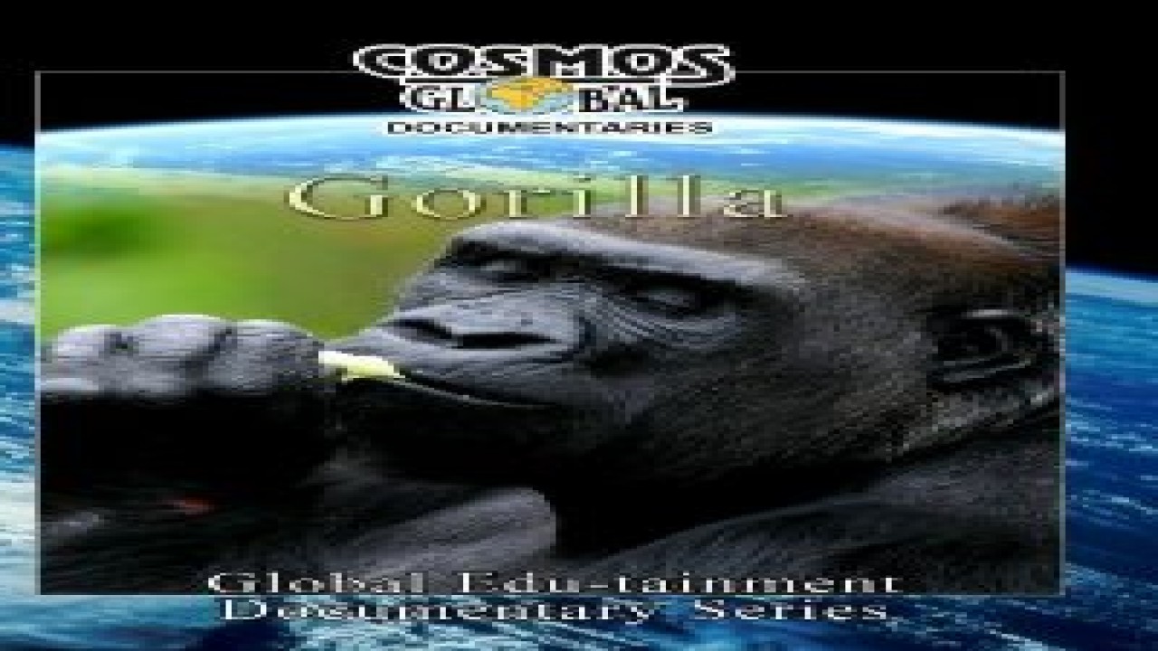 Cosmos Global Documentaries GORILLA