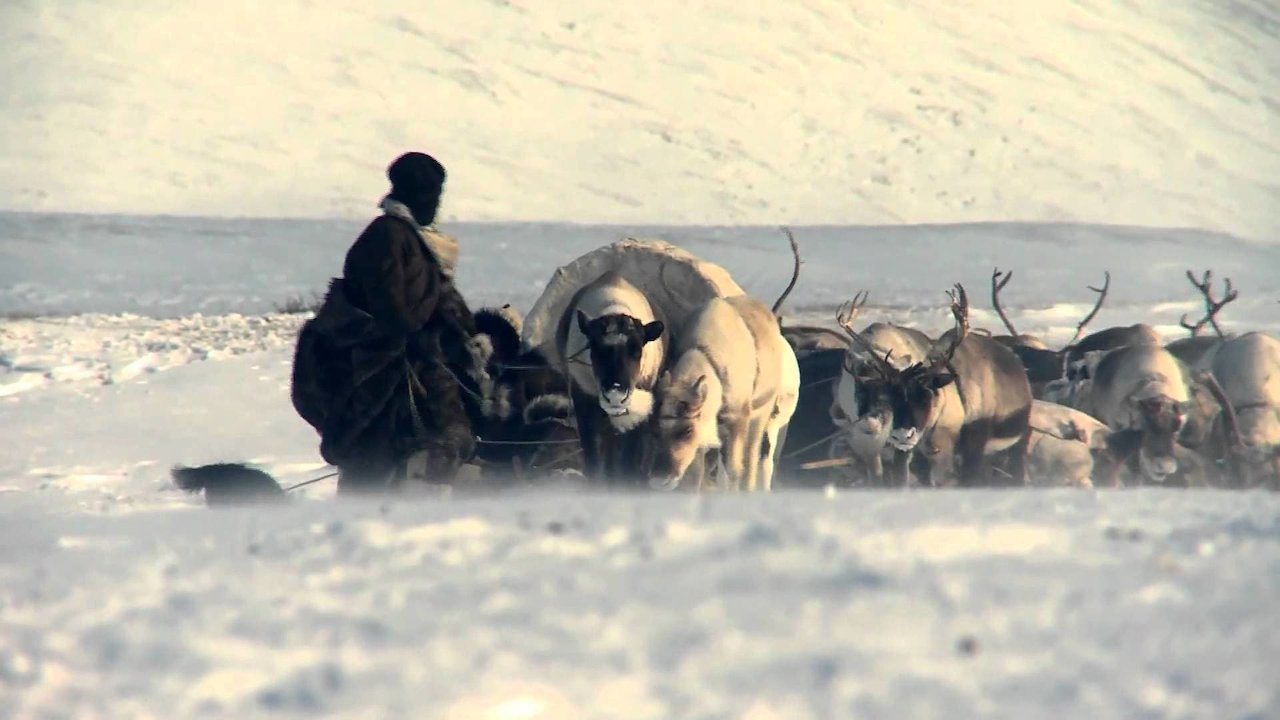 The Tundra Book: A Tale of Vukvukai, the Little Rock