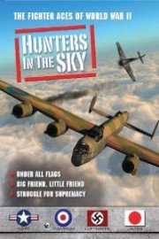 Hunters in the Sky: Under All Flags, Big Friend, Little Friend, Struggle for Supremacy