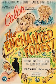 The Enchanted Forest