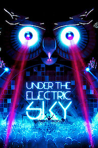 Under the Electric Sky: EDC 2013