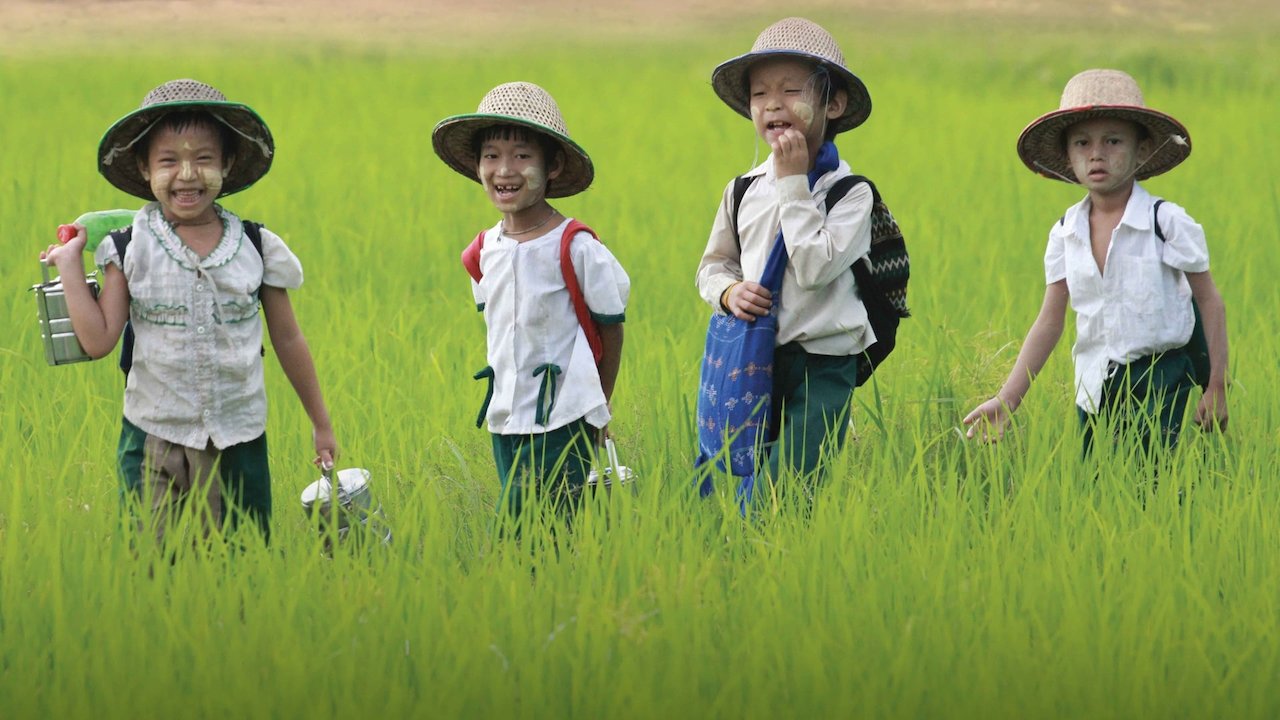 All You Need Is Love