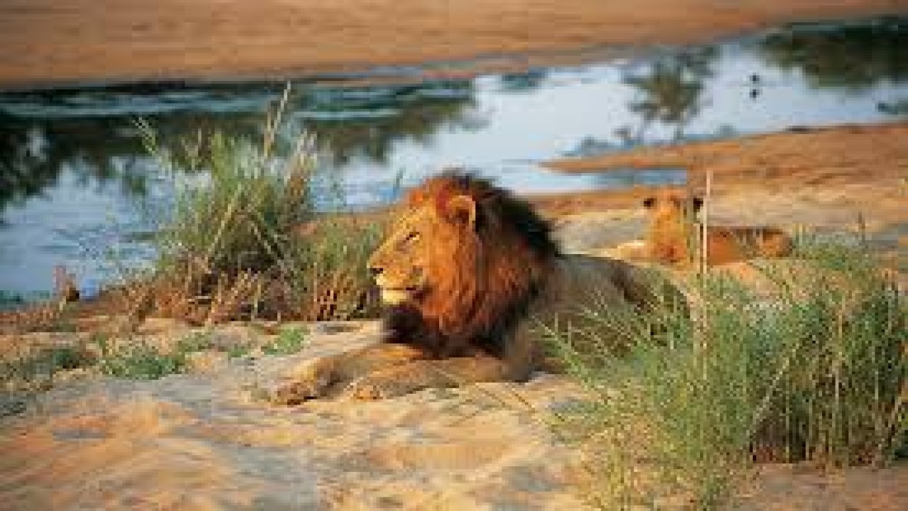 Nature Wonders KRUGER PARK South Africa