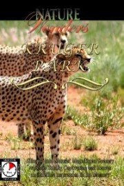 Nature Wonders KRUGER PARK South Africa
