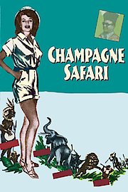 Champagne Safari