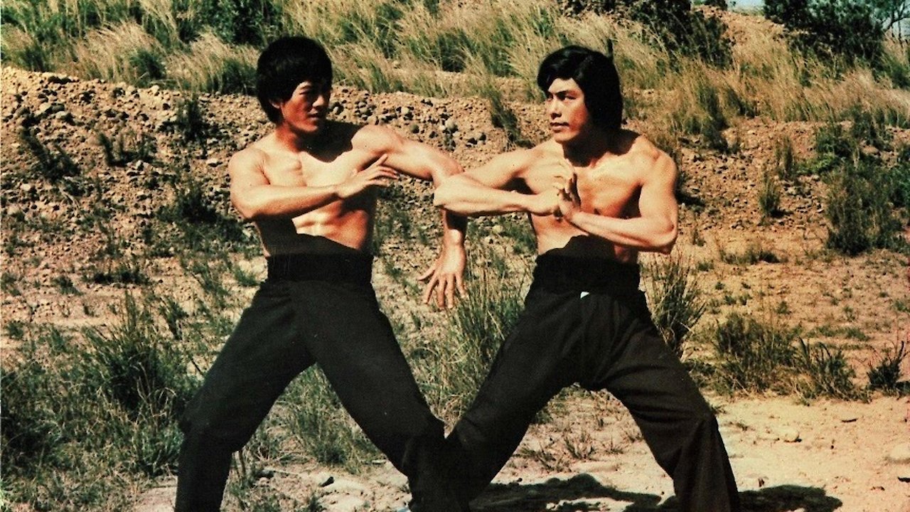 Bruce Lee: A Dragon Story