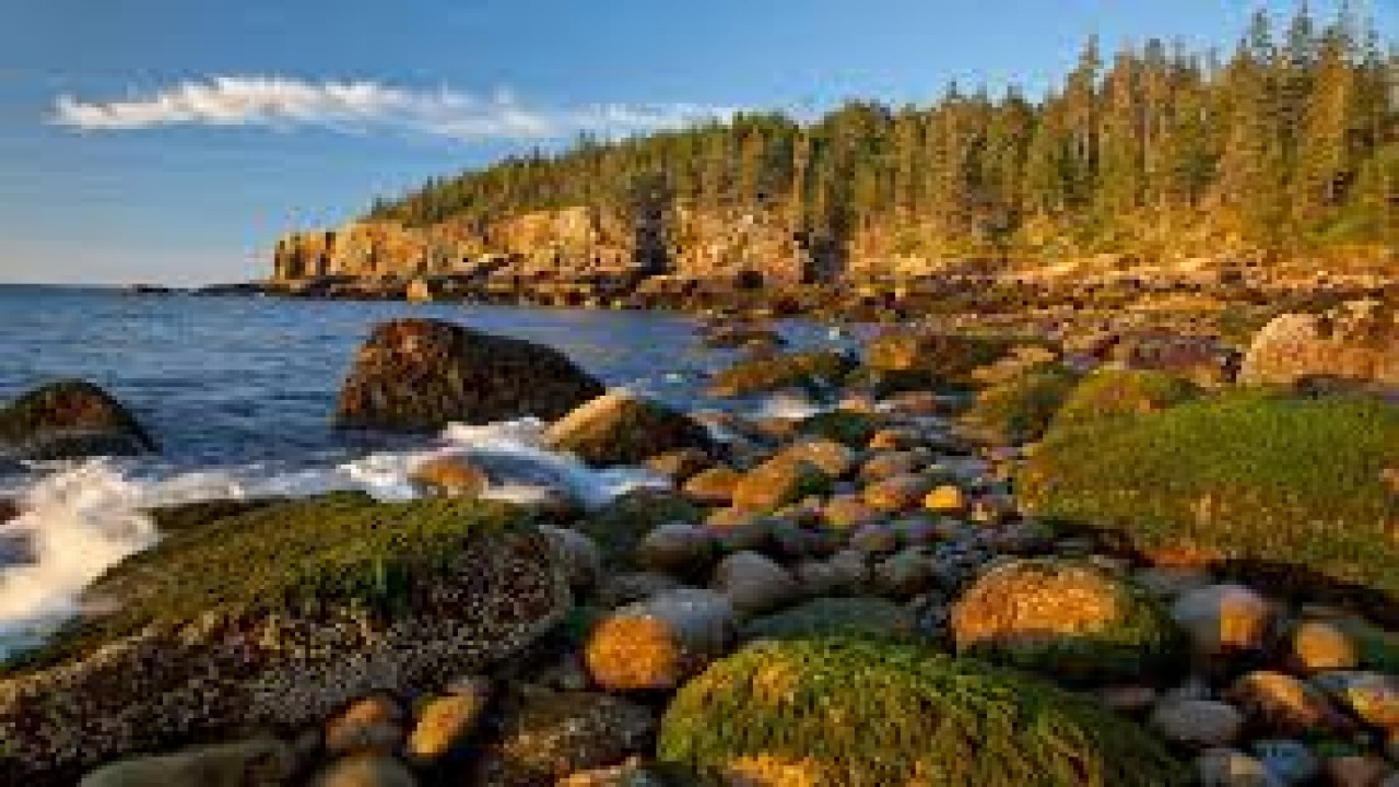 Cosmos Global Documentaries: North America - Wonderland Of Nature Part 2