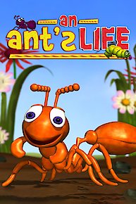 An Ant's Life