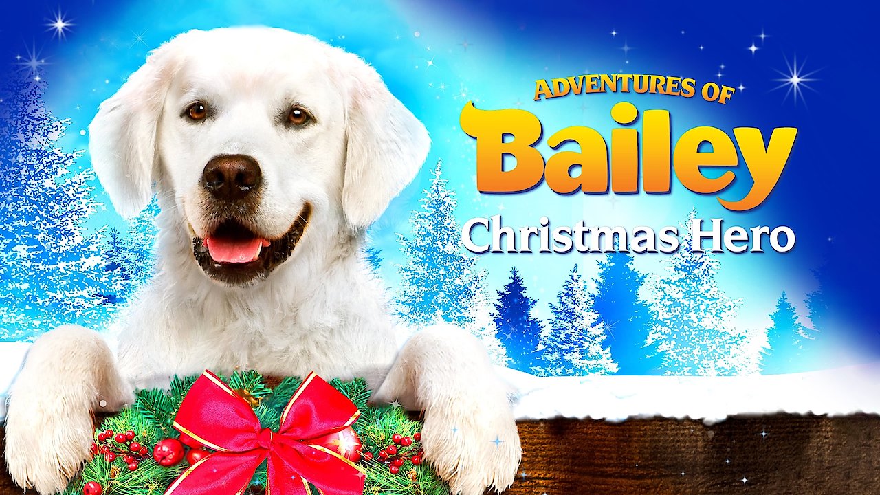 Adventures of Bailey: Christmas Hero