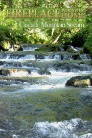 Fireplace For Your Home: Cascade Mountain Stream