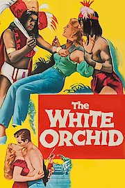 The White Orchid