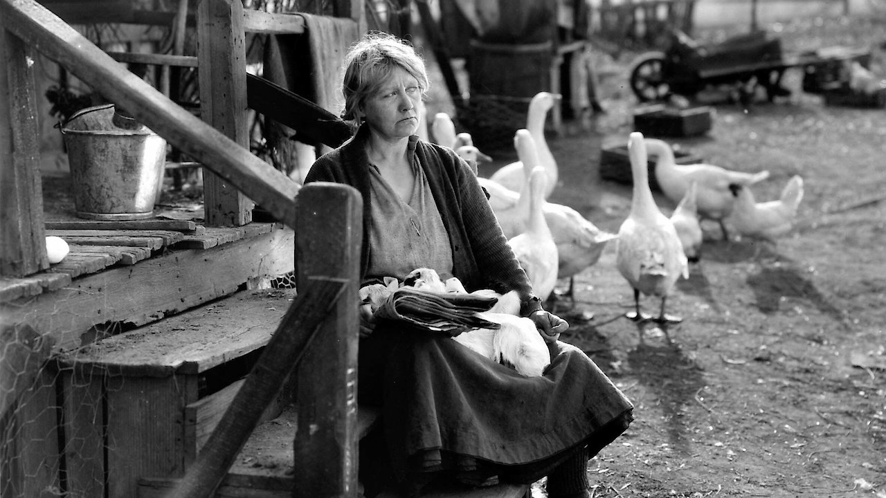 The Goose Woman