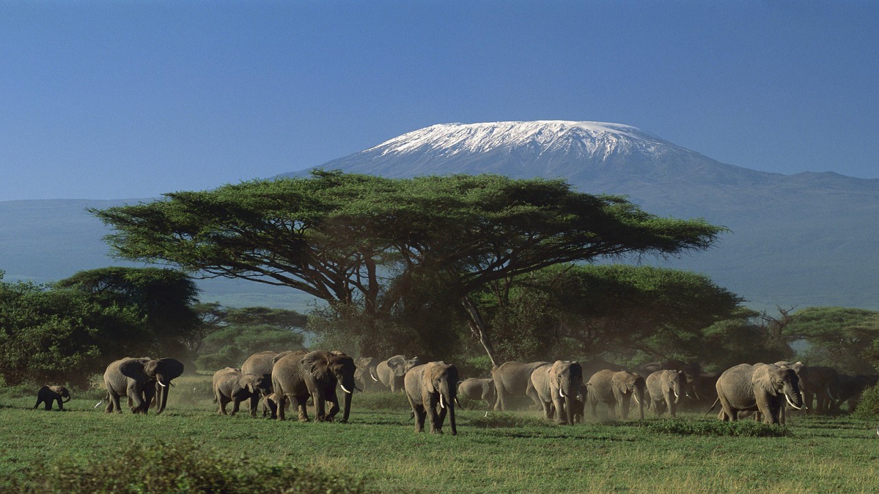 Nature Parks: Amboseli