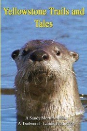 Yellowstone Trails and Tails