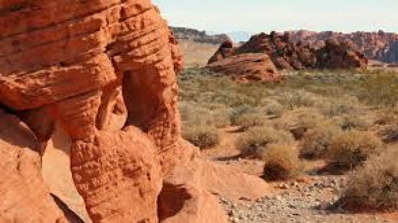 7 Days: Nevada