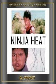 Ninja Heat