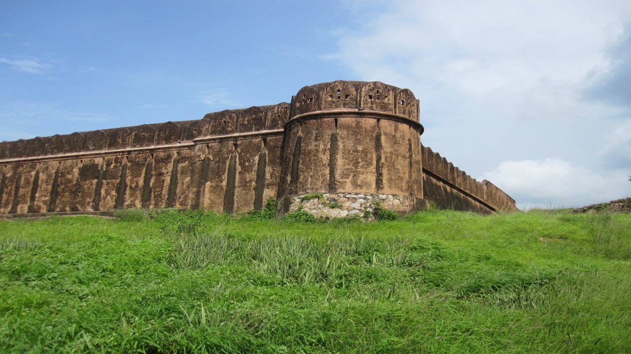 Cosmos Global Documentaries: In the Land of the Maharajahs